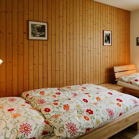 Chalet Berggeist 1 Apartment